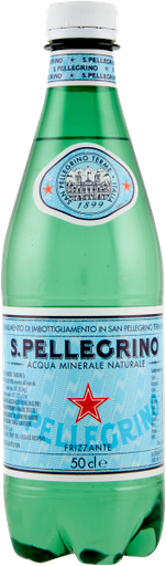 Mineralwasser Frizzante | 500ml | San Pellegrino